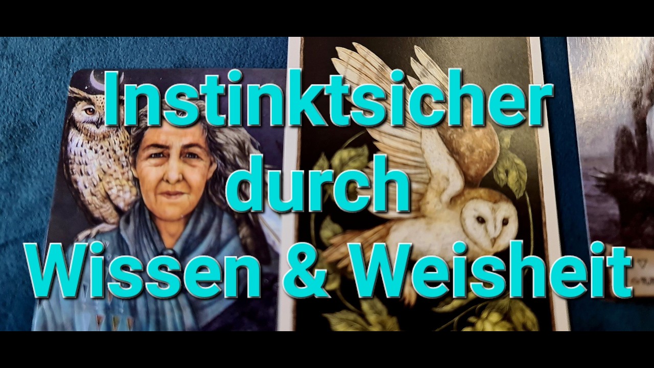 Instinktsicher durch Wissen und Weisheit