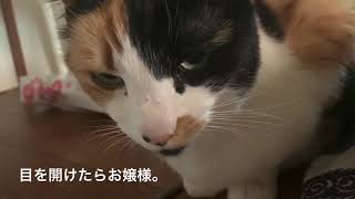長楽寺の日常