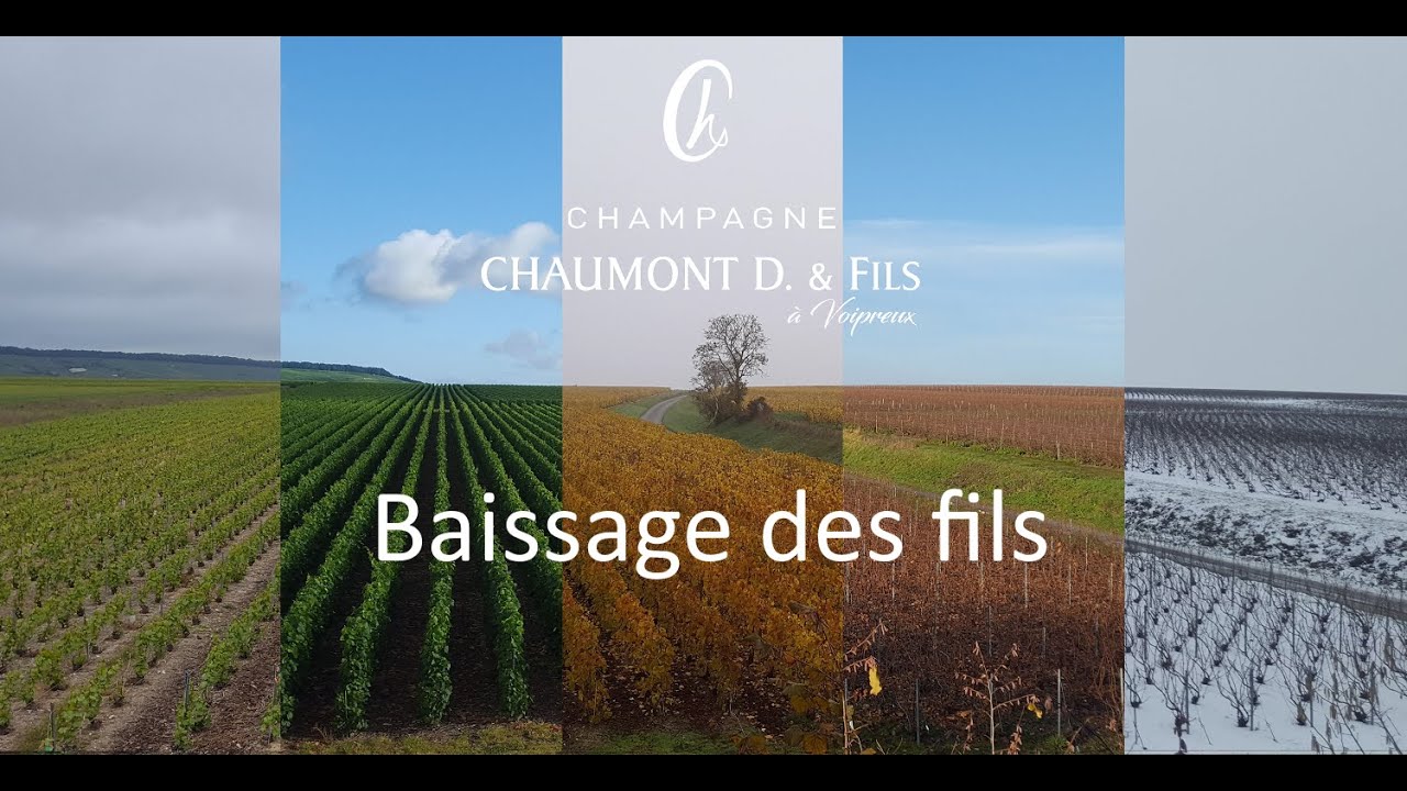 Baissage des fils - YouTube