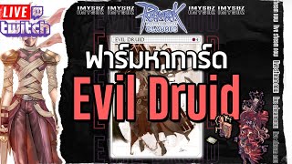 Liveย้อนหลังTwitch ep 2 : ฟาร์มหาการ์ด Evil Druid ทำบุญมาแล้ว | Ragnarok Classic GGT |