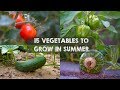 15 Vegetables & Herbs You MUST Grow in SUMMER