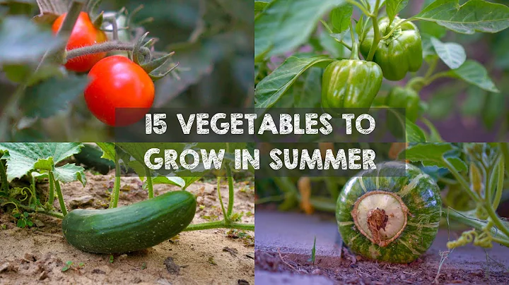 15 Vegetables & Herbs You MUST Grow in SUMMER - DayDayNews
