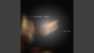 Celebrity Binary Code Wealth