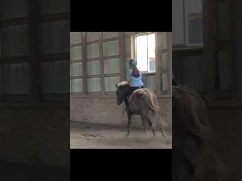 Video: Ar dobilas įkurs arklį?