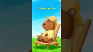 Cute Capybara  | English for Kids  #englishforkids