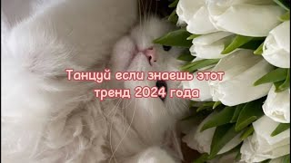 Танцуй если знаешь этот тренд 2024 года💗/ можно подписку?🥺