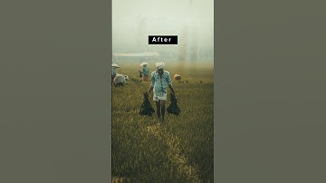 Before/After Cinematic Color Grading in Mobile Lightroom app #youtubeshorts #shorts #trending #edit