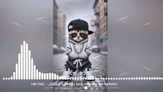 TRC - JOGET ‼️ SEIN KANAN BELOK KIRI - Mr Adam REMIX