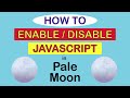 How To Enable Or Disable JavaScript In The Pale Moon Web Browser | PC | *2024 👍