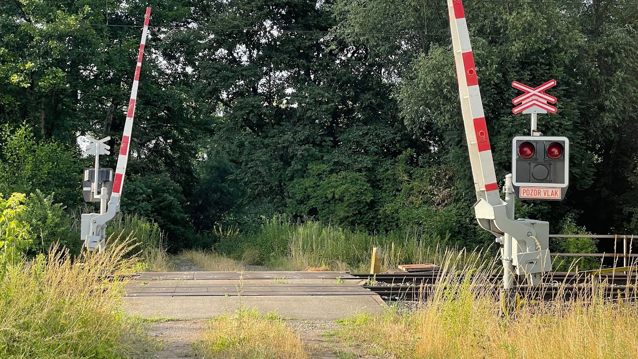 LIVESTREAM #35: Železniční přejezd Uhersko #2 - 14.7.2023 / Czech railroad crossing