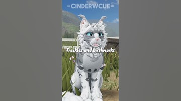 make a cat based off yourself! IB=katcold on tt #warriorcats  #wcue