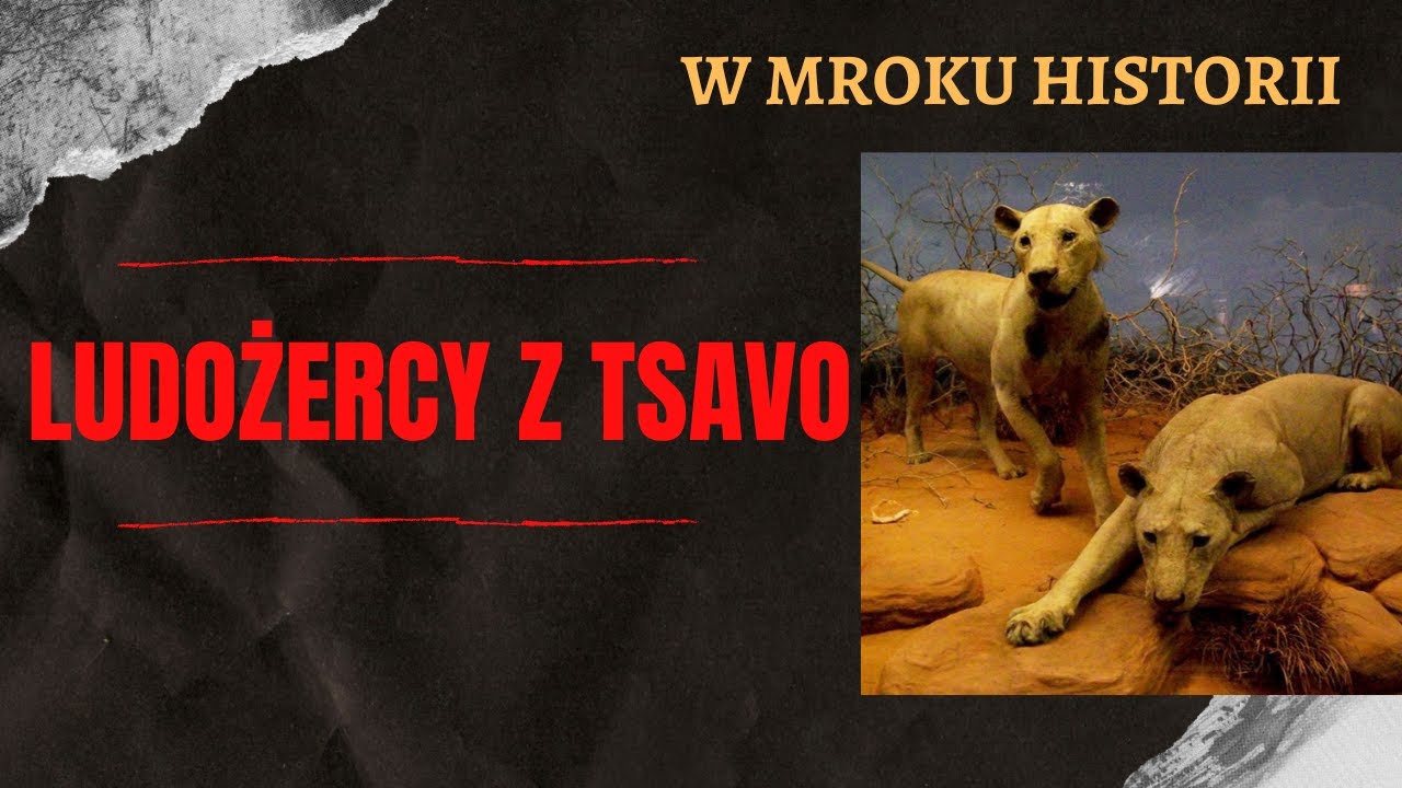 Ludożercy z Tsavo | W mroku historii #8