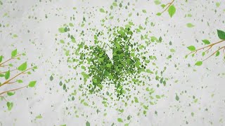 Green Eco Logo Reveal Hordhac Haqabtire Media Free Download