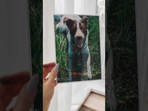 Печать фотографий А5 на магните  от 1шт (15х21см), видео 1