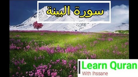 من سورة البينة الى سورة التكاثر برواية حفص