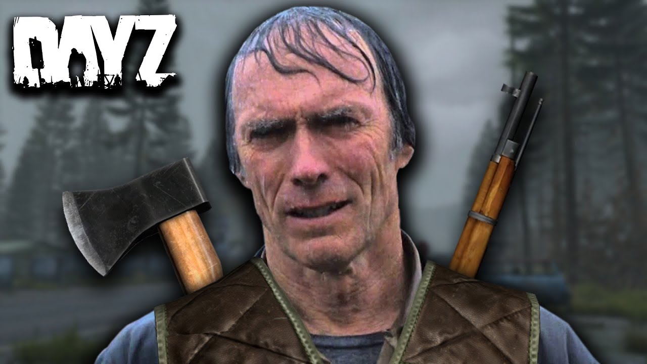 Average DayZ Experience