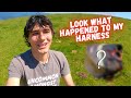 Paragliding Top Landing FAIL | Funny Paraglider Top Landing In Cow Poop!