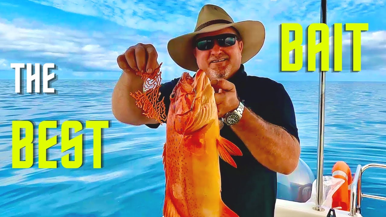 💥The BEST BAIT!💥Catch & Cook💥 Devilled Reef & Beef Surf & Turf OBM1770