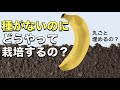 バナナは種がないのに、どうやって栽培するの？｜バナナに隠された驚くべき事実 Top3