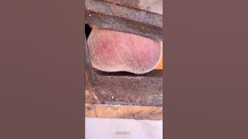 It