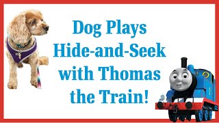 Dog Plays Hide And Seek With Thomas The Train