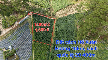 1480m2 sổ riêng giá 1,650 tỉ xã Xuân Thọ, Đà Lạt. Đất cách Đà Lạt 16km, cách quốc lộ 20 là 400m