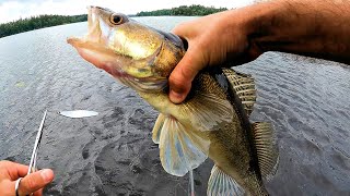 Fiske Efter Gös Från Land