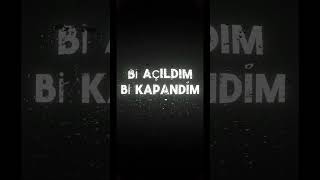 Balık Rakı Roka Var Soframda Resimi
