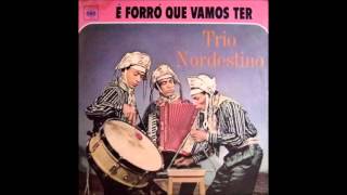 Video thumbnail of "Trio Nordestino - 04  Atire no bicho"
