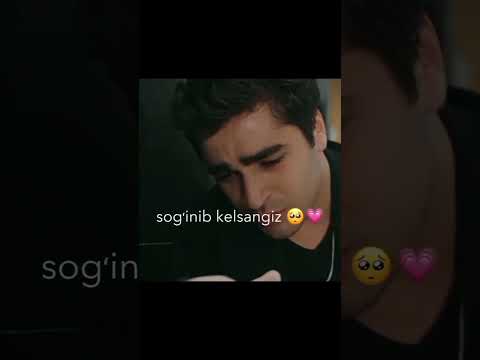 O‘lsam chinor eking qabrim boshiga