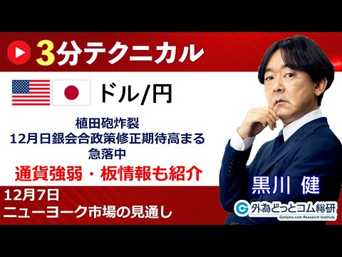 ドル/円見通し 「植田砲炸裂 、12月日銀会合政策修正期待高まる、 急落中」見通しズバリ！3分テクニカル分析 ニューヨーク市場の見通し　2023年12月7日