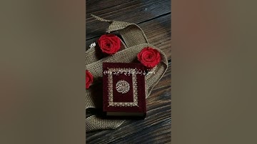 وَالَّذِي أَطْمَعُ أَنْ يَغْفِرَ لِي خَطِيئَتِي يَوْمَ الدِّينِ ﴿82﴾ سورة الشعراء ق/ش خالد الشحات