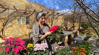 Baking Four Types of Iranian Pilaf With Chicken on The Village Style | Iran Nomad Life