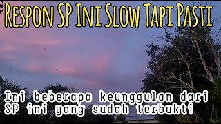 SP Ini Jitu Memikat Anakan Walet