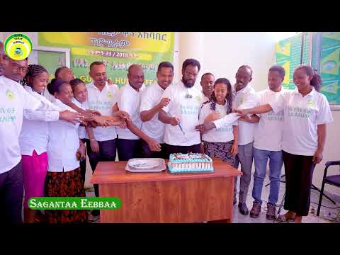 Oduu Eebbaa Ani Kan Koo Qofa Miti