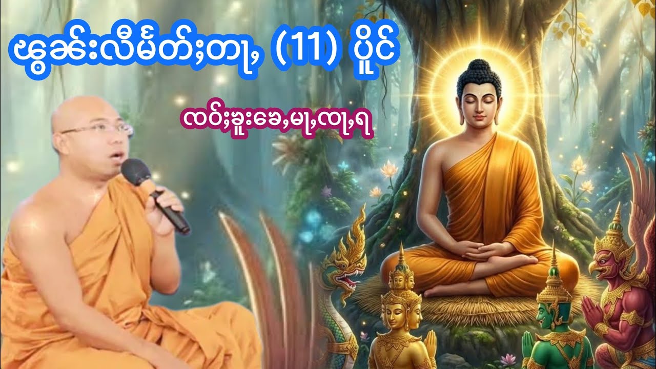 ၽွၼ်းလီမႅတ်ႈတႃႇ(11)ပိူင် ၸဝ်ႈၶူးၶေႇမႃႇၸႃႇရ 