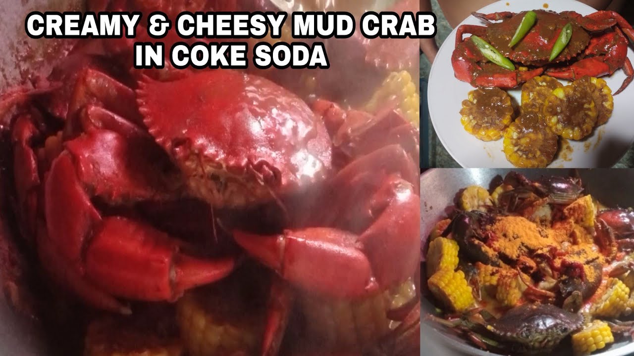 HOW TO COOK CREAMY AND CHEESY MUD CRAB IN COKE SODA YouTube HOW TO COOK CREAMY AND CHEESY MUD CRAB IN COKE SODA YouTube