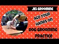 Hands on dog groomer training  hands on dog grooming practice