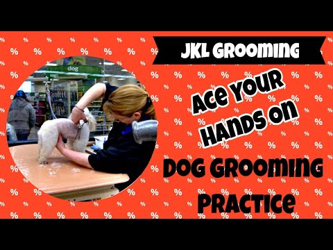 Hands On Dog Groomer Training | Hands On Dog Grooming Practice