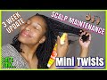 MINI TWISTS - 3 Week Update: Let's Talk SCALP and HAIR MAINTENANCE | My Nighttime Routine