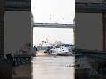 Bridge Breaks and Slams Into Cruise Ship Watch Till the End! #BridgeCollapse #CruiseShipAccident