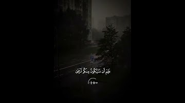 وَاللَّهُ يُقَدِّرُ اللَّيْلَ وَالنَّهَارَ || سورة المزمل || عبد الرحمن مسعد 🖤