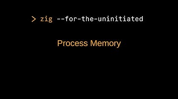 Zig for the Uninitiated: Understanding Process Memory