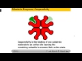 Enzymes -Allosteric Enzymes