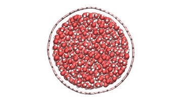 Water molecules in a large carbon nanotube | Molecular simulation with script