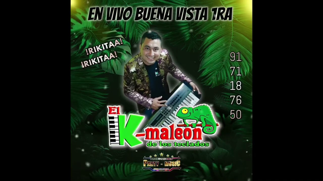 MI VECINITA, ESA MORENA - El K-maleon De Los Teclados - En Vivo Buena Vista 1ra