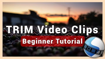 How to Trim and Cut Video Clips | OpenShot Tutorial