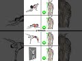 Fix Poor Posture FAST ⚡ Simple Tips for a Stronger Back 💪 #shorts #workout #fitness #gym #posture