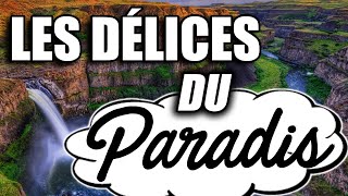 LES DÉLICES DU PARADIS [ ISLAM ] ⚪