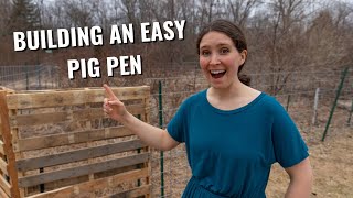 Building An Easy Pig Pen, Pigs Coming in 4 Days: Pallets, TPosts, Cattle Panels and PROBLEMS SOLVED